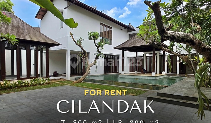 For Rent Newly Renovated Siap Huni Unfurnished & Halaman Luas For Rent Newly Renovated Siap Huni Unfurnished & Halaman Luas