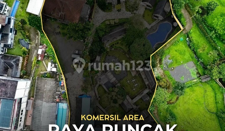 For Sale Komersil Area Cocok untuk Hotel, Villa & Usaha di Raya Puncak