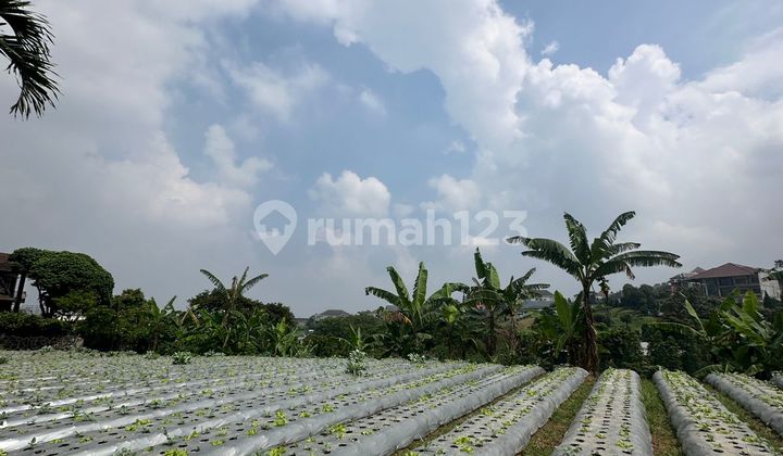 Kavling 321 m2 Daerah Padasaluyu Bandung Kavling 321 m2 Daerah Padasaluyu Bandung