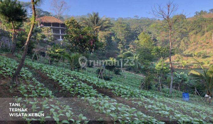 Tanah Perkebunan Cocok Untuk Wisata di Cikalong Wetan 1