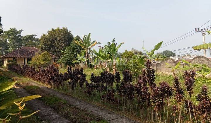 Rumah Luas Dan Sejuk di Jl. Kampung Jawa, Sukamaju, Megamendung, Bogor 2