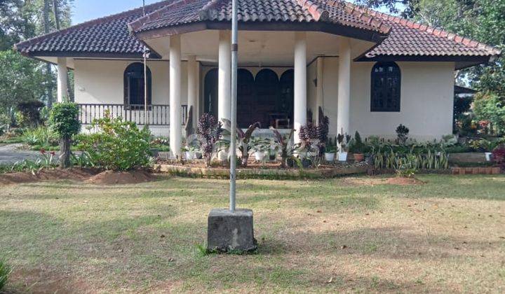 Rumah Luas Dan Sejuk di Jl. Kampung Jawa, Sukamaju, Megamendung, Bogor 1