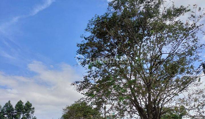 Dijual Cepat Tanah Di Cimone Tangerang 5