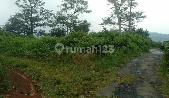 Dijual Tanah Untuk Zona Perkebunan Peternakan Jonggol Bogor SHM 2