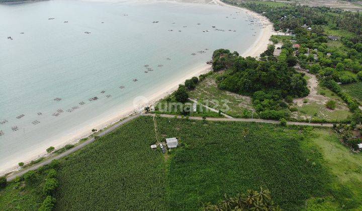 Dijual Tanah Komersil Di Lombok 2