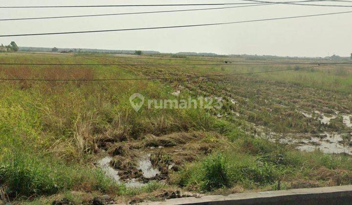 TANAH INDUSTRI DI CIREBON 1