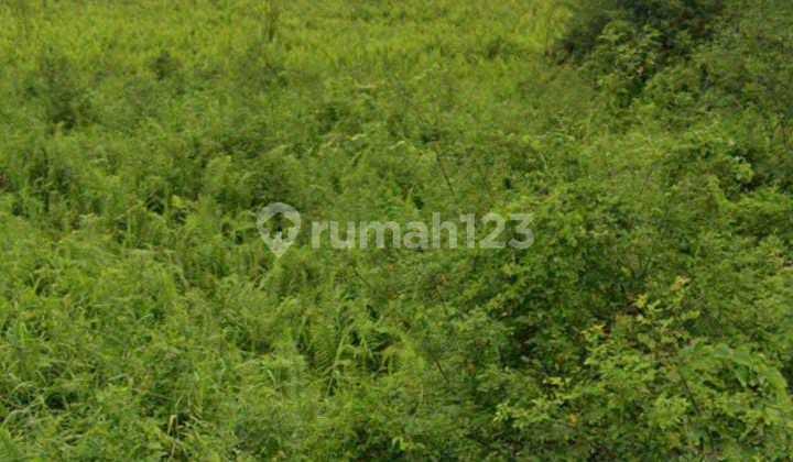 LAND FOR SALE IN KARAWACI TANGERANG