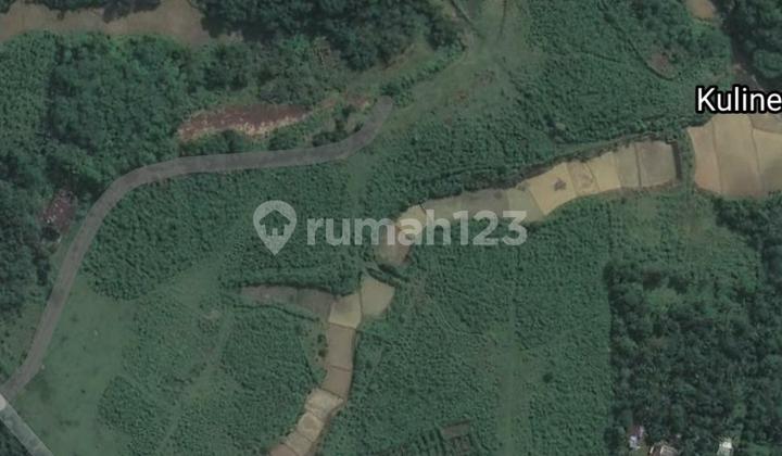 FOR SALE FARM LAND IN LEBAK BANTEN FOR SALE FARM LAND IN LEBAK BANTEN