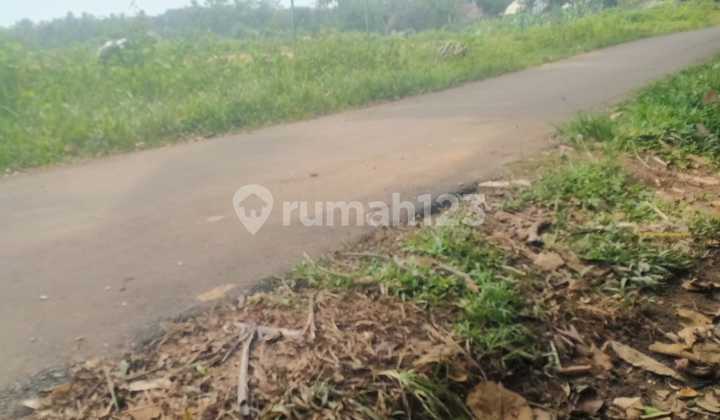 FOR SALE FARM LAND IN LEBAK BANTEN FOR SALE FARM LAND IN LEBAK BANTEN