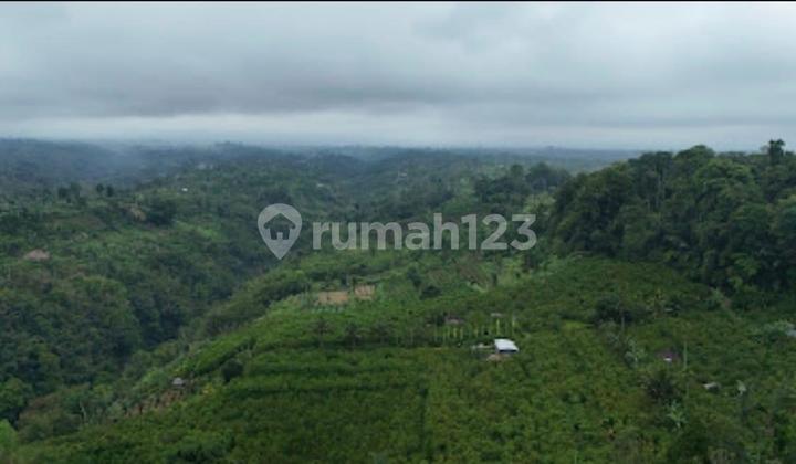 DIJUAL TANAH DI PAYANGAN BALI DIJUAL TANAH DI PAYANGAN BALI