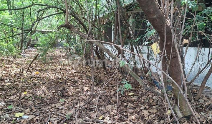 FOR SALE INDUSTRIAL LAND IN HYUNDAI CIKARANG AREA FOR SALE INDUSTRIAL LAND IN HYUNDAI CIKARANG AREA