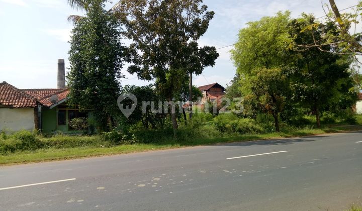 Dijual Tanah Rata 3.2 hektar (320000m) SHM di majalengka dekat bandara  2