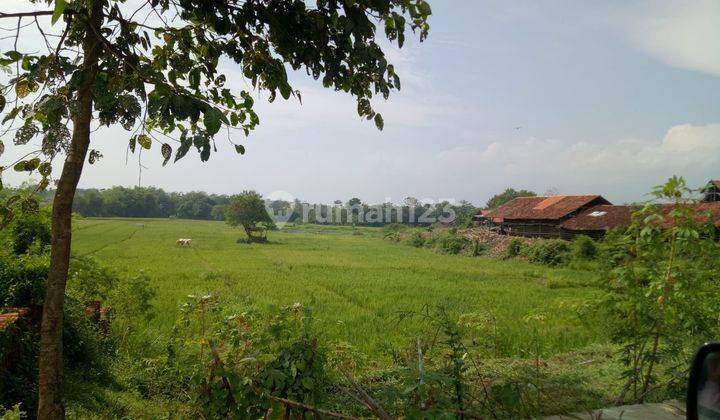 Dijual Tanah Rata 3.2 hektar (320000m) SHM di majalengka dekat bandara  3