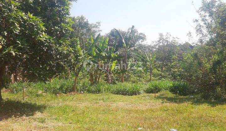 DIJUAL CEPAT MURAH TANAH Kalijati Subang SHM 2