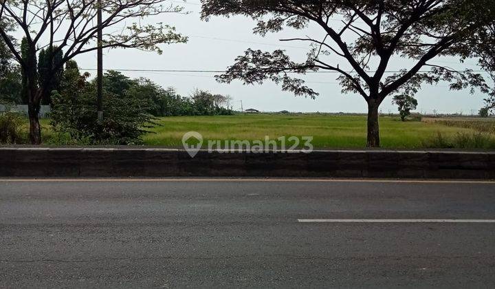 Dijual tanah murah di cirebon luas 3ha 1