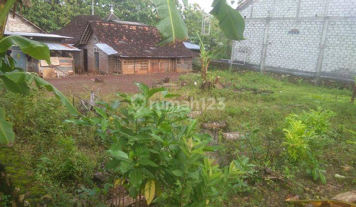 Tanah Pekarangan Pinggir Jalan Murah Di Selang Wonosari 2