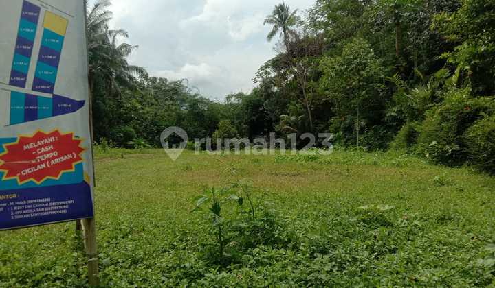 Tanah Murah Dekat Rsu Merah Putih Magelang 2