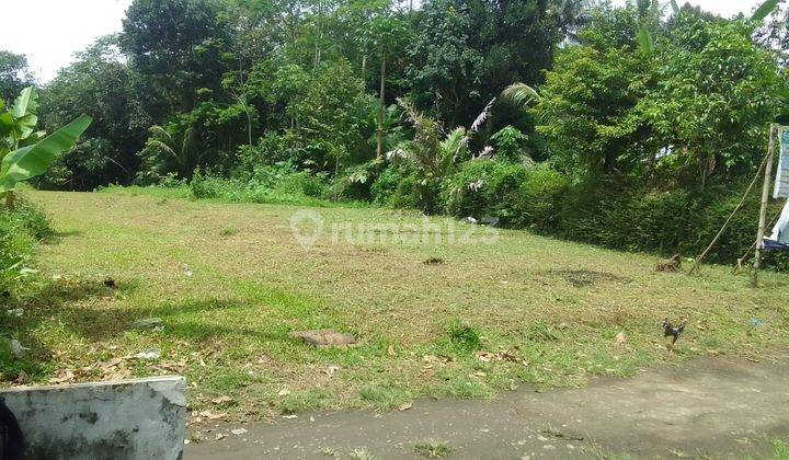 Tanah Murah Dekat Rsu Merah Putih Magelang 4