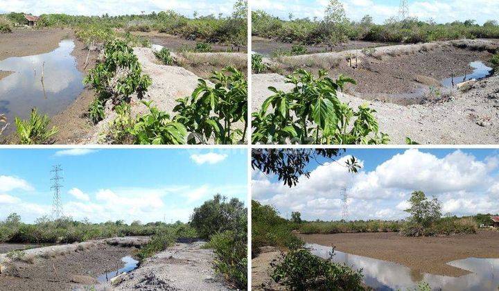 Tanah Kavling Luas Lokasi Strategis di Batu Licin Kalsel 2