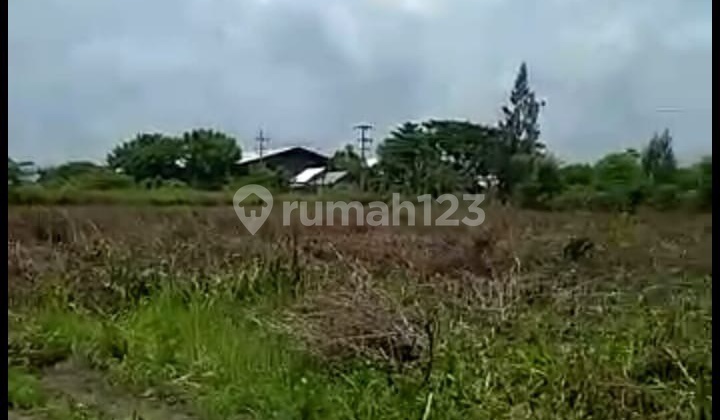 DIJUAL TANAH DI DAERAH TUBAN KOTA TUBAN RON.YA022 6