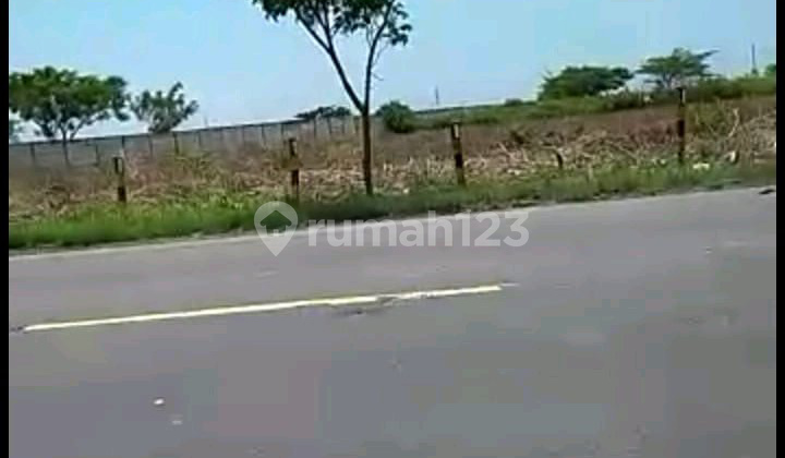 Dijual Tanah Nasional Mrutuk Utara Widang Tuban Ron.a2092 Dijual Tanah Nasional Mrutuk Utara Widang Tuban Ron.a2092