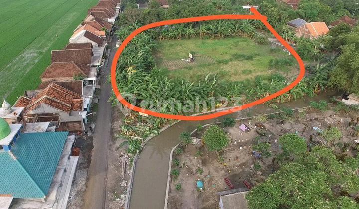 Dijual Tanah Sumbersari Jabon Sidoarjo Ron.a2085 Dijual Tanah Sumbersari Jabon Sidoarjo Ron.a2085