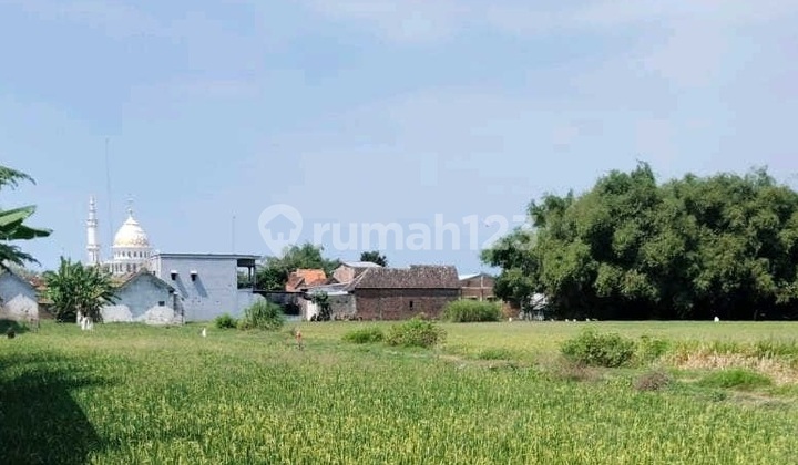 Land for Sale, Raya Sumobito Mojoagung Jombang, Plot a2041 Land for Sale, Raya Sumobito Mojoagung Jombang, Plot a2041
