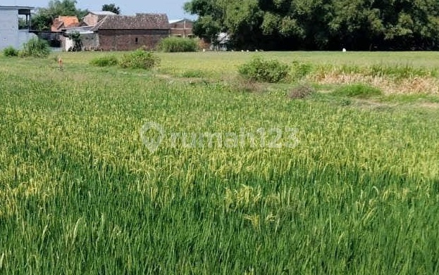 For Sale: Raya Sumobito Mojoagung Jombang Land, Lot No. A2041