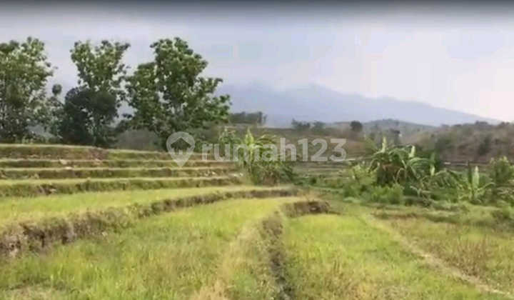 Land for Sale in Kemiri, Pacet, Mojokerto, Lot.a2216 Land for Sale in Kemiri, Pacet, Mojokerto, Lot.a2216