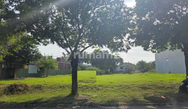 Dijual Tanah Teluk Golf Citraland Sambikerep Surabaya Ron.a2093