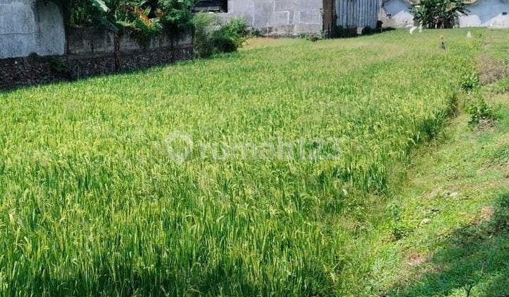 Dijual Tanah Raya Sumobito Mojoagung Jombang Ron.a2041