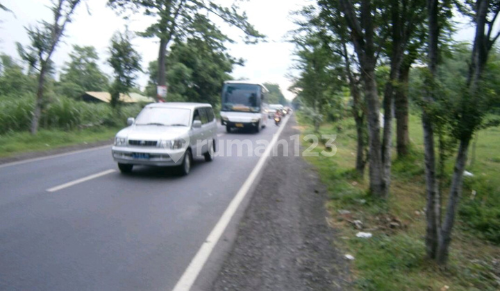 For Sale: Land in Malasan, Tegalsiwalan, Probolinggo. Plot Ref: a3014 For Sale: Land in Malasan, Tegalsiwalan, Probolinggo. Plot Ref: a3014