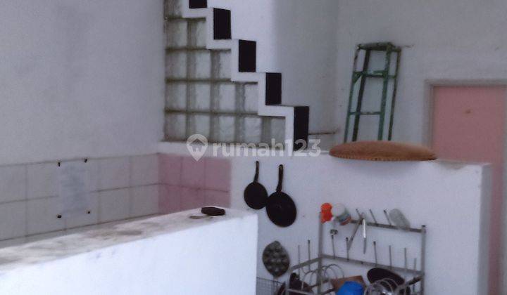 BABAKAN JERUK KOST AKTIF INGIN CEPAT JUAL 2