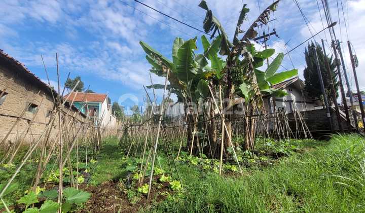 Tangkuban Perahu Mainroad  Tanah Murah Siap Pakai