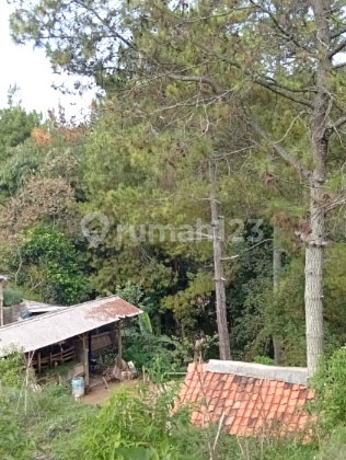 Dago Giri Tanah siap pakai dijual cocok untuk glamping dan usaha Dago Giri Tanah siap pakai dijual cocok untuk glamping dan usaha