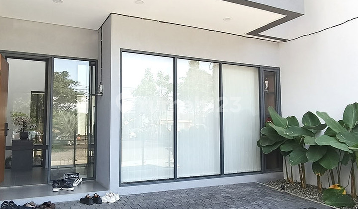 Magnolia Lilifera Adipura New Good Modern 2