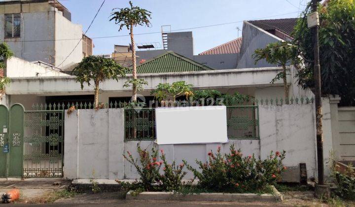 Rumah Tua 1 Lantai 229M2 di Tanjung Duren Utara, Jakarta Barat 1