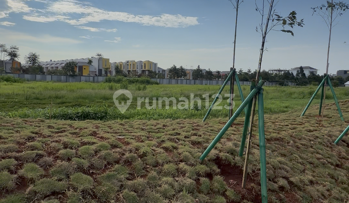 Installment Available! Strategic Commercial Plot PIK2 Boulevard 4,000M2 Next to MCD