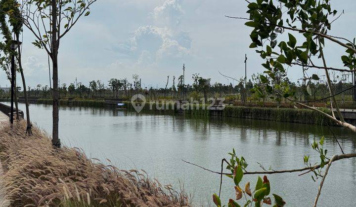 Kavling Cbd Pik2 View Danau Luas 7.000m2 - 30.000m2 1