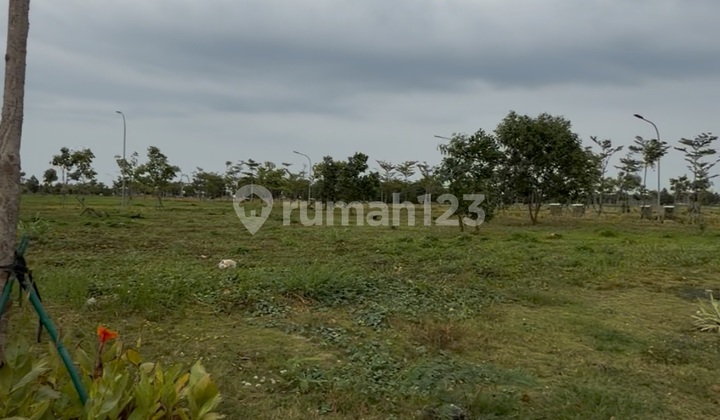 Corner Lot 17x30 Lake View White Sand Signature Pik2