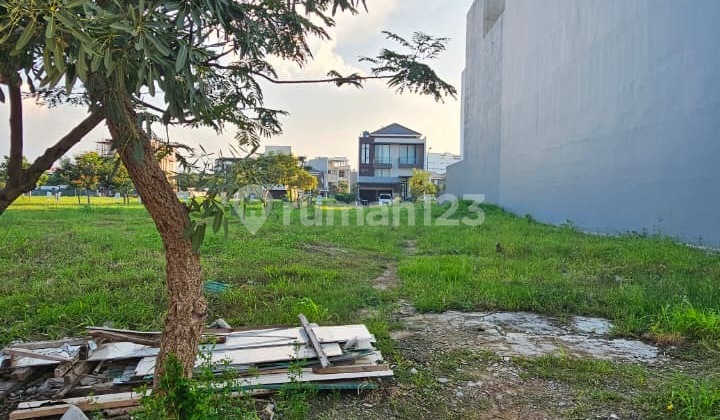 For Sale BDI Plot PIK2 10X30 For Sale BDI Plot PIK2 10X30
