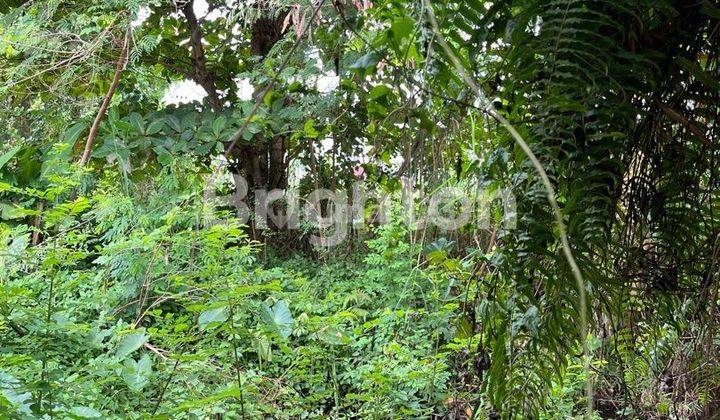 DIJUAL TANAH DI GATOT SUBROTO BANJARMASIN 2