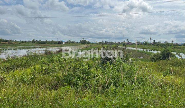 DIJUAL TANAH DI BANJARMASIN 2