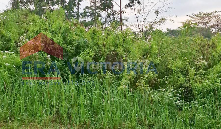 Tanah View Alam Tenang Spot Potensial untuk Café Outdoor & Resto Instagramable