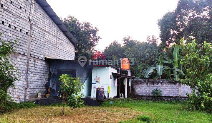 Tanah Klatakan Kendit Situbondo Poros Antar Provinsi Sudah SHM Cocok Untuk Usaha 4