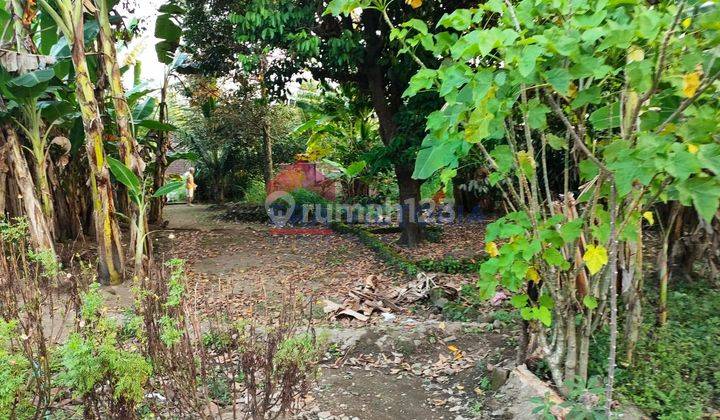 Rumah Lahan Ngantong Di Poros Panglima Sudirman, Wlingi, Kab Blitar 13