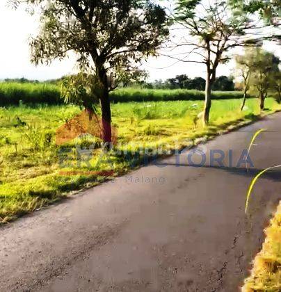 Tanah Di Karangrejo Kab Tulungagung, 15 Mnt Ke Masjid 1000 Kubah 3