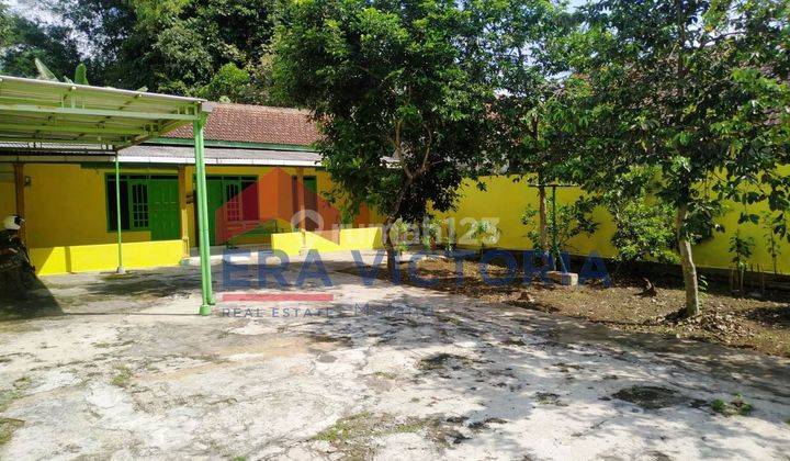 Rumah Di Kepanjen Kabupaten Malang, Halaman Sangat Luas 2