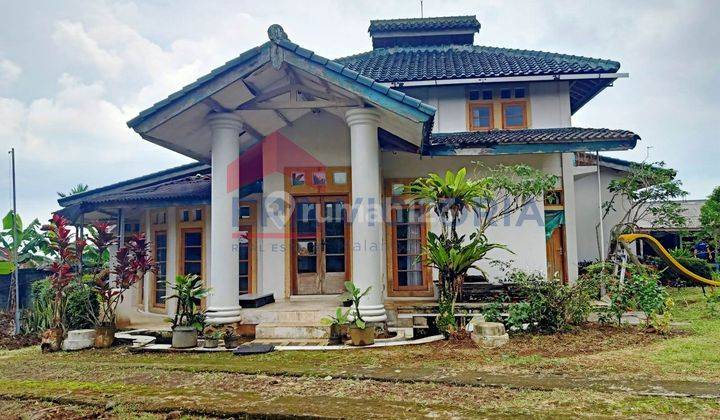 Villa Halaman Luas Cocok Untuk Guest House Outbond Raya Ciapus 1