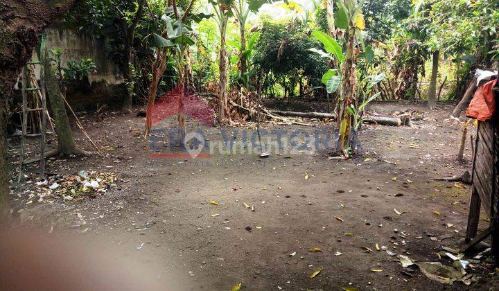 Dijual Rumah Pekarangan Luas Di Pinggir Jalan Kertosono Nganjuk 7